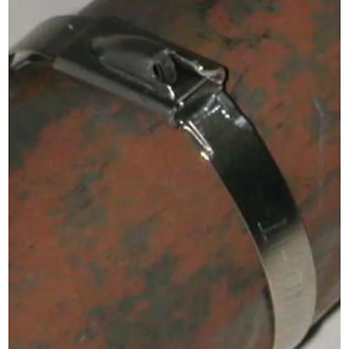 BAND-IT(バンド・イット) 結束バンド(SUS304/10本) 4.6x200mm EA463FM-51 4518340814745【別送品】