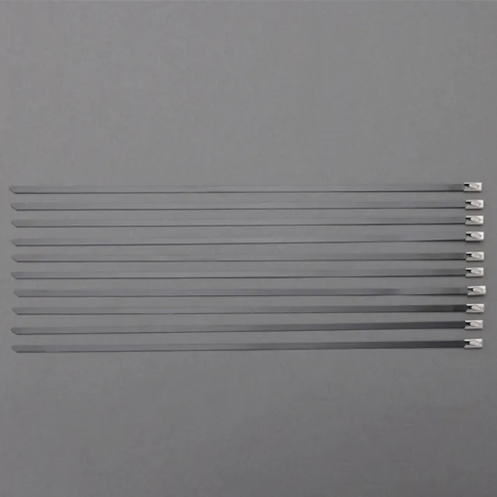 結束バンド(SUS316/コーティング/10本) 4.6x521mm EA463FW-207 4550061690369【別送品】