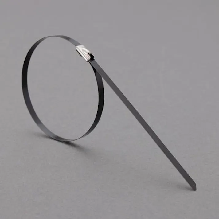 結束バンド(SUS316/コーティング/10本) 7.9x838mm EA463FW-225 4550061691151【別送品】