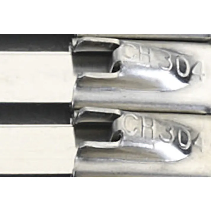 結束バンド(SUS304/10本) 4.6x838mm EA463FW-9 4548745606621【別送品】