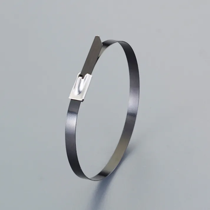 デンカエレクトロン 結束バンド(SUS316/コーティング/10本) 4.6x600mm EA463FY-11 4550061795507【別送品】