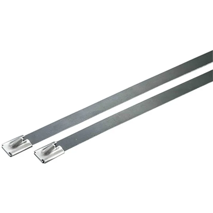 デンカエレクトロン 結束バンド(SUS316/コーティング/10本) 4.6x400mm EA463FY-7 4550061795491【別送品】