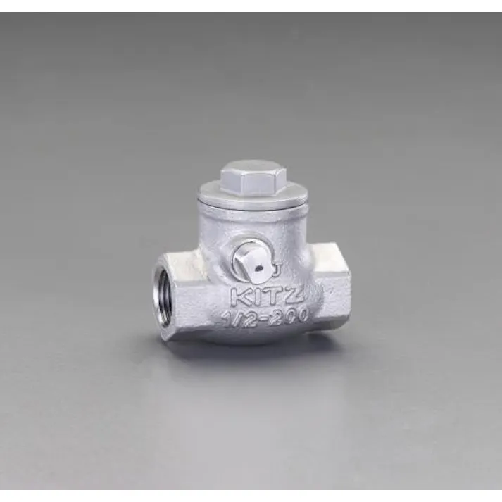 ESCO 3/4” スイングチャッキバルブ バルブ 4548745612554 EA465AA-6(CDC)【別送品】