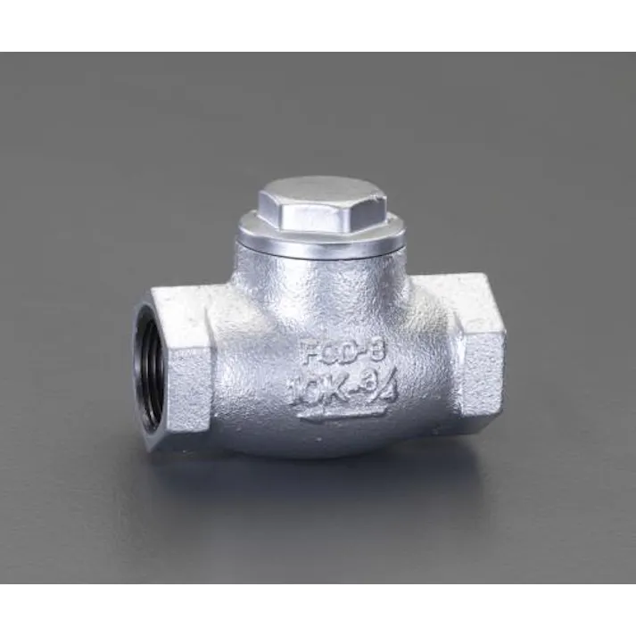 ESCO 2” リフトチャッキバルブ(ダクタイル鋳鉄製) バルブ 4548745611915 EA465AF-20(CDC)【別送品】