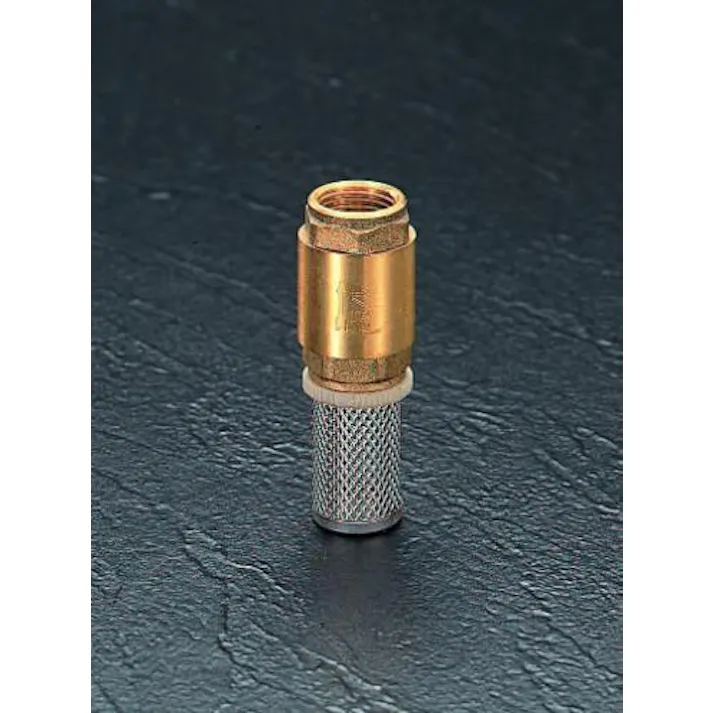 ESCO G 1” ストレーナー付逆止弁 ねじ付き逆止弁 4518340021952 EA465LS-10(CDC)【別送品】