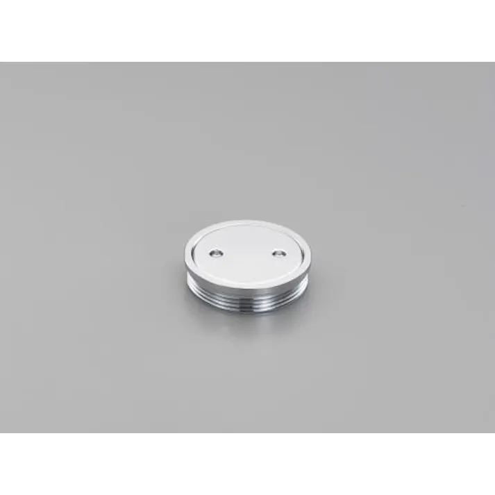 カクダイ 掃除口(外ねじ) 65A/G2・1/2” EA468DK-33 4548745957181【別送品】