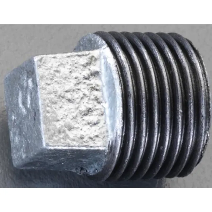 ESCO R 1” プラグ 継手 4548745338881 EA469BJ-110(CDC)【別送品】