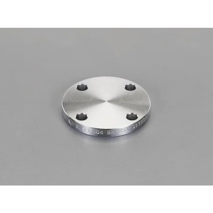 ESCO 1” /10K 溶接閉止フランジ(ステンレス製) 継手 4550061251560 EA469FL-8A(CDC)【別送品】
