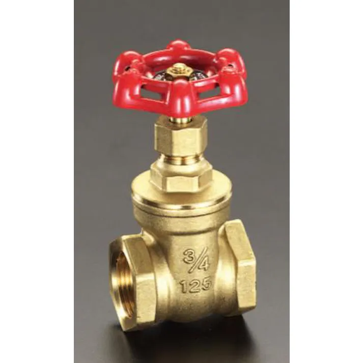ESCO Rc 2” ゲートバルブ バルブ 4518340353312 EA470D-20(CDC)【別送品】