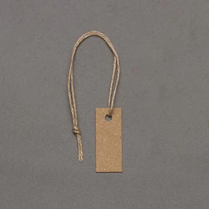 ESCO 25x10mm 糸付タグ(クラフト/100枚) 荷造・包装用品 4550061898345 EA475HZ-53(CDC)【別送品】