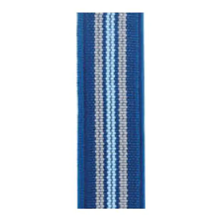 ライオン事務器(LION) ゴムバンド(ブルー) 600mm EA628WR-302 4518340062818【別送品】