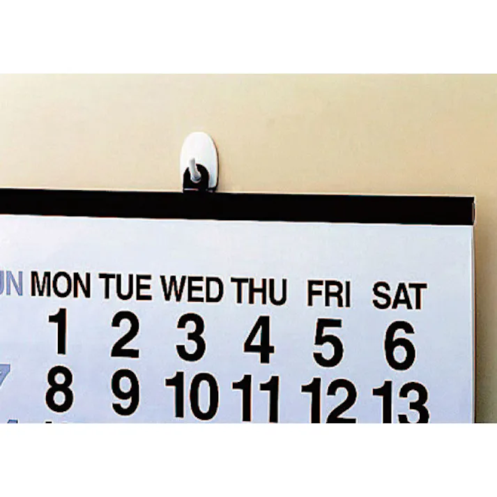 ニトムズ フック(粘着付/40個) 0.5kg EA638LL-31B 4518340016255【別送品】