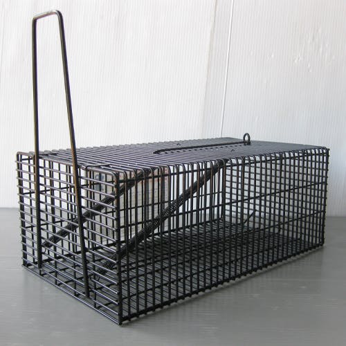 ねずみʢ•·̫•ʡ 赤外線RC ビュンビュン ねずみ君 [DK-8882S] - スーパーラジコン