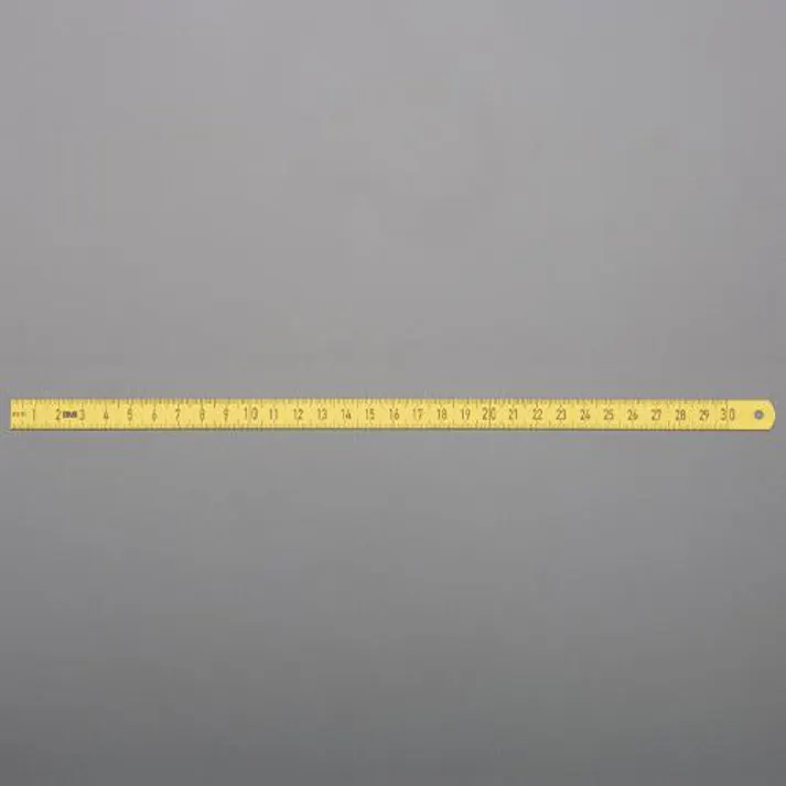 ESCO 300x13.0mm 直尺(スチール製) EA720YA-130(CDC)【別送品】