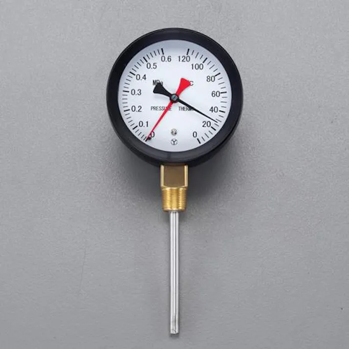 ESCO 0- 120℃/0-1.0MPa/φ 75mm 水高計(立型) EA729PA-13(CDC)【別送品】