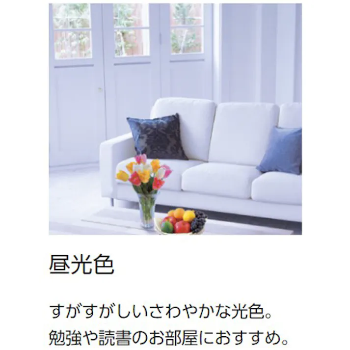 パナソニック(Panasonic) 電球/LED(昼光色) AC100V/12.5W/E26 EA758XR-110D 4518340259942【別送品】