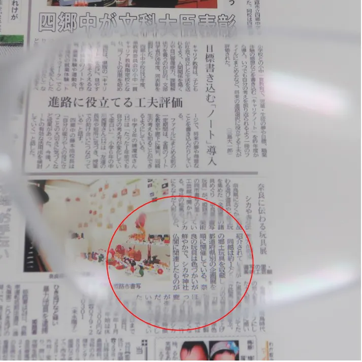 保護めがね(x2.0ルーペ付) EA800AS-12 4550061421451【別送品】