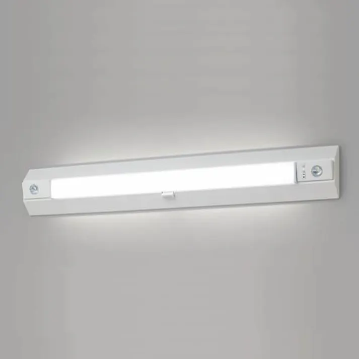 パナソニック(Panasonic) AC100-242V/40形 LED階段照明器具(非常灯付 EA815LP-51(CDC)【別送品】
