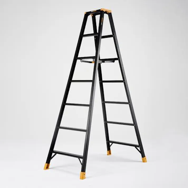 アルインコ(ALINCO) 2.02m 専用脚立(ワイドステップ) EA903AB-210A(CDC)【別送品】