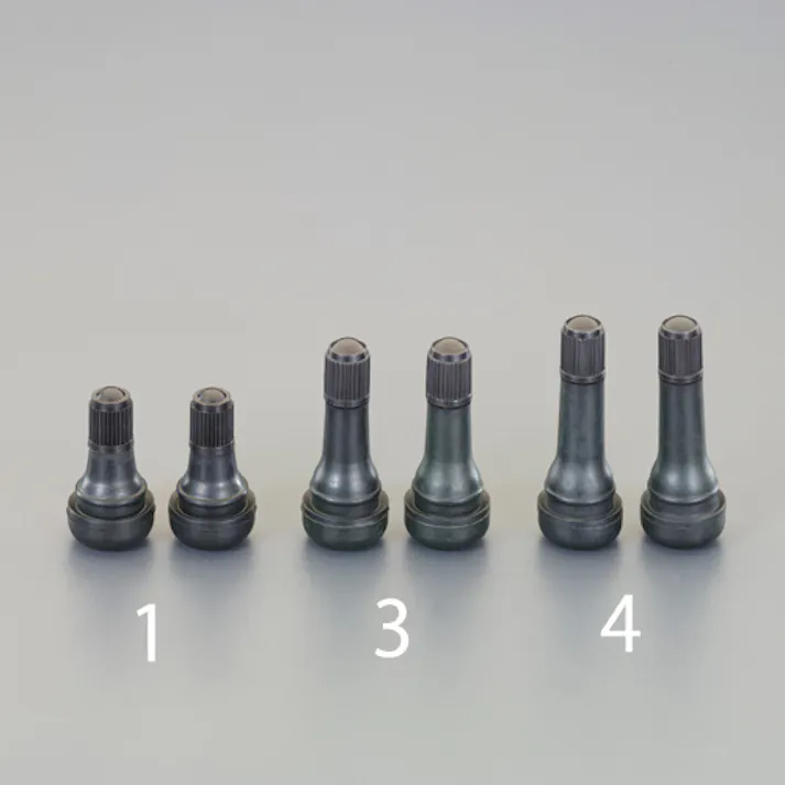 チップトップ(TIPTOP) タイヤバルブ(チューブレス/二輪車用/2個) EA934ZG-1 4518340119413【別送品】