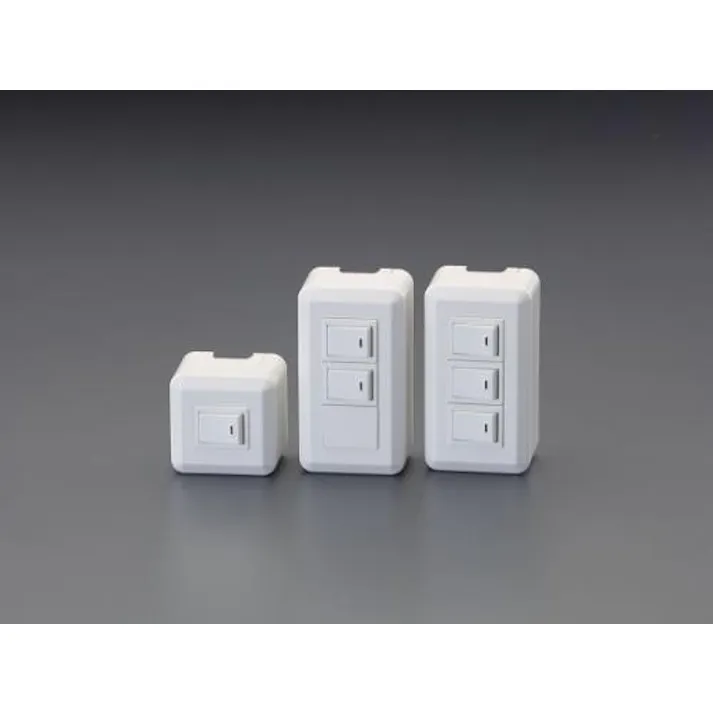 神保電器(JIMBO) 300V/15A スイッチ(角型・2個) EA940CJ-42A(CDC)【別送品】