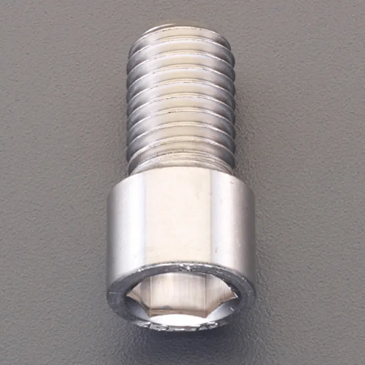 六角穴付ボルト(小径/ステンレス/2本) M6x25mm EA949JN-625 4518340122710【別送品】