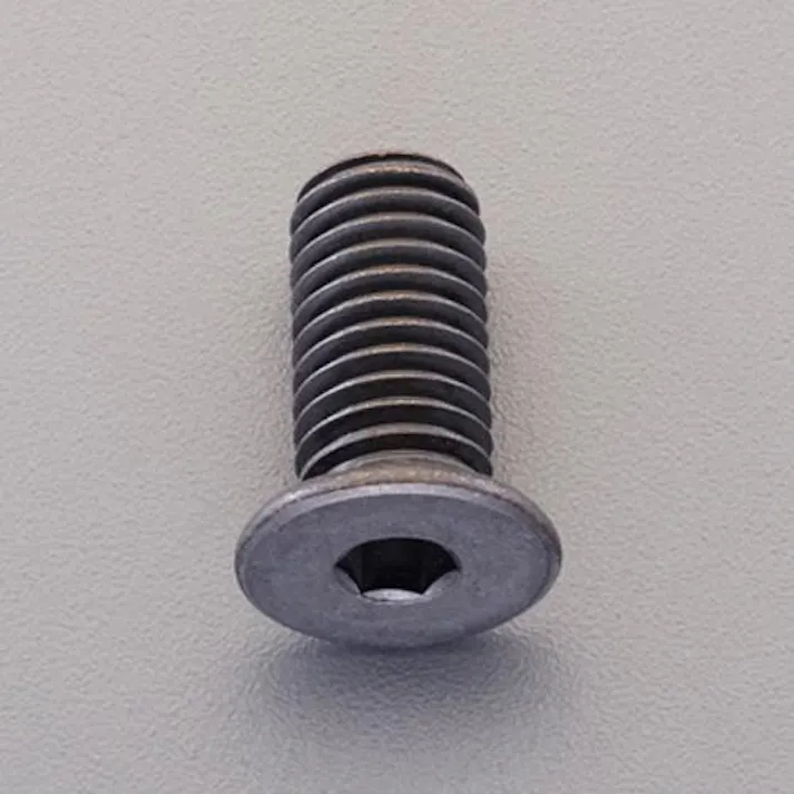 ESCO M 3x 8 六角穴付ボルト(超低頭/ステンレス/黒/2本) EA949JP-308(CDC)【別送品】