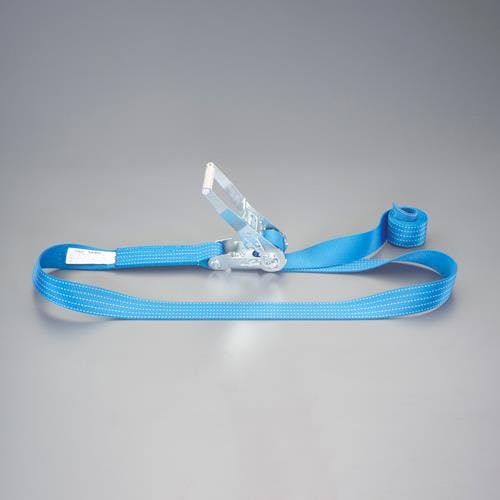 ESCO 50mmx 5.0m/2030kg ベルト荷締機(エンドレス) EA982SB-45A