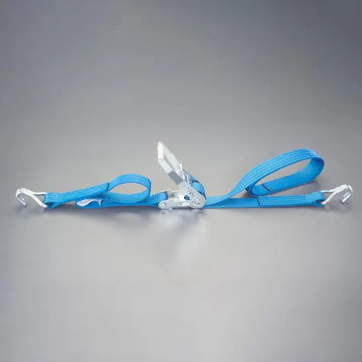 東レインターナショナル(TORAY) ベルト荷締機(両端フック型) 50mmx5.0m/1010kg EA982ST-25A 4518340307810【別送品】