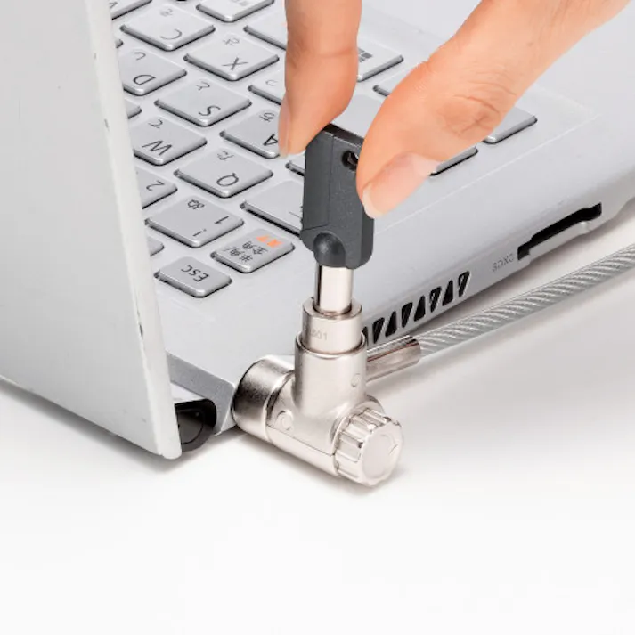 サンワサプライ φ4.4mmx2m セキュリティワイヤー(Noble・Nano/シリンダ) EA983TS-227(CDC)【別送品】