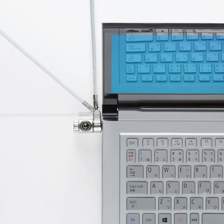 サンワサプライ φ4.4mmx2m セキュリティワイヤー(Noble・Nano/シリンダ) EA983TS-227(CDC)【別送品】