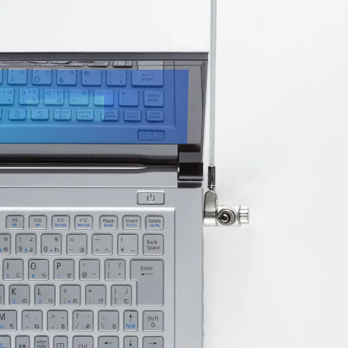 サンワサプライ φ4.4mmx2m セキュリティワイヤー(Noble・Nano/シリンダ) EA983TS-227(CDC)【別送品】