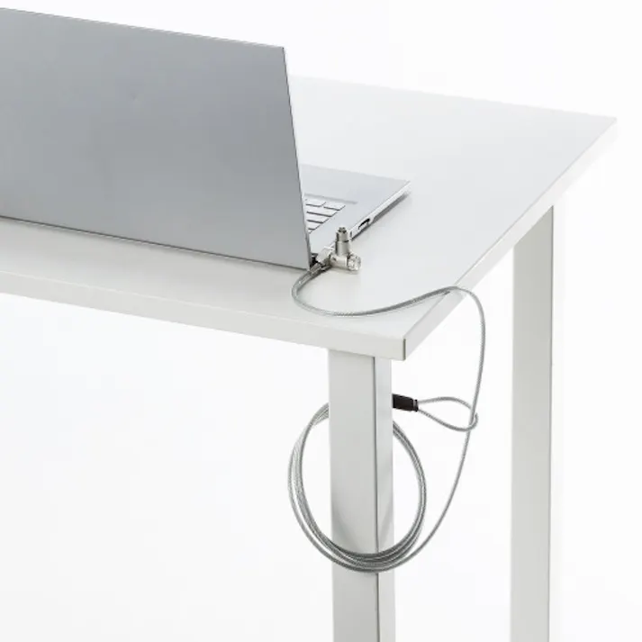 サンワサプライ φ4.4mmx2m セキュリティワイヤー(Noble・Nano/シリンダ) EA983TS-227(CDC)【別送品】