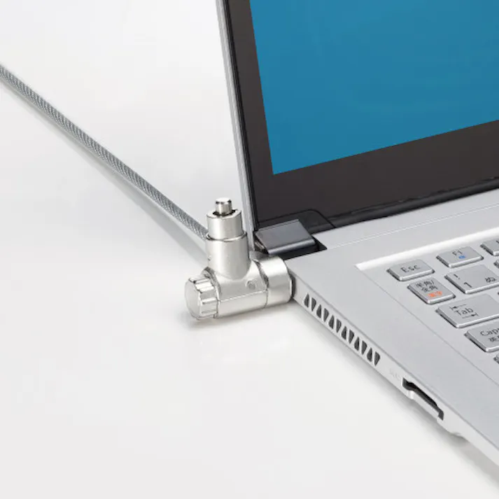 サンワサプライ φ4.4mmx2m セキュリティワイヤー(Noble・Nano/シリンダ) EA983TS-227(CDC)【別送品】