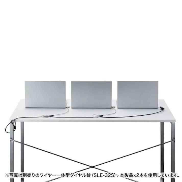 サンワサプライ φ4.4mmx0.25m PCセキュリティワイヤーセット(小型シリンダ) EA983TS-307(CDC)【別送品】