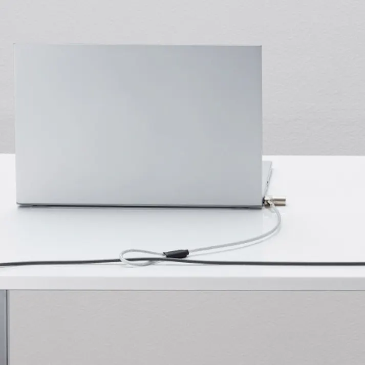 サンワサプライ φ4.4mmx0.25m PCセキュリティワイヤーセット(小型シリンダ) EA983TS-307(CDC)【別送品】