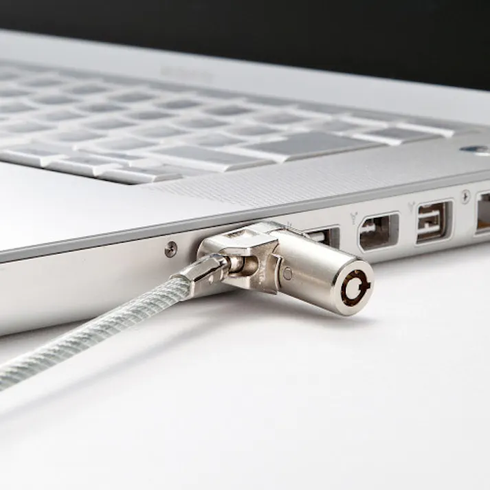 サンワサプライ φ4.4mmx 2.0m PCセキュリティワイヤーセット(小型シリンダ) EA983TS-308(CDC)【別送品】