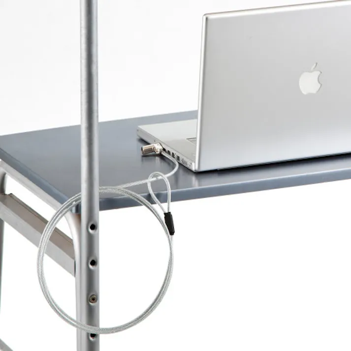 サンワサプライ φ4.4mmx 2.0m PCセキュリティワイヤーセット(小型シリンダ) EA983TS-308(CDC)【別送品】