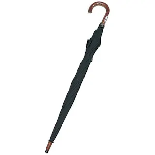 プラス(PLUS) ワンタッチ式大型傘 700mm EA995AA-139 4550061299470【別送品】