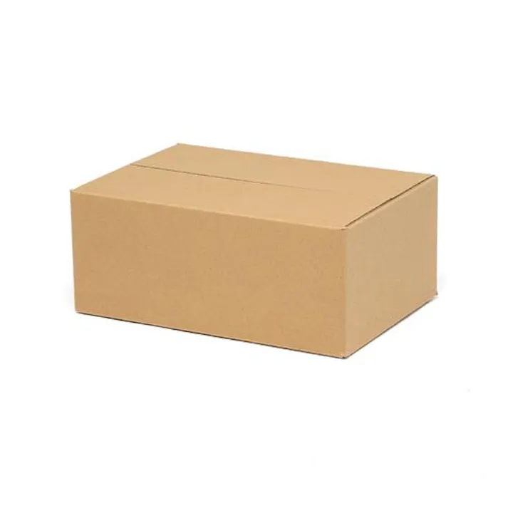 ESCO 270x185x110mm/B5 ダンボール(無地/20枚) EA995BS-21A(CDC)【別送品】