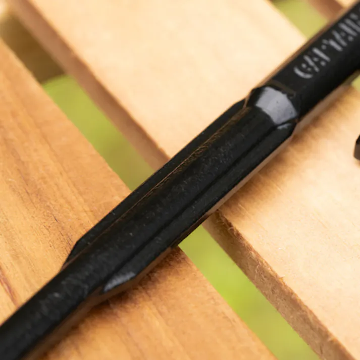 キャプテンスタッグ ペグ(鍛造スチール製/10本) φ10x400mm EA915DL-73 4518340399747【別送品】