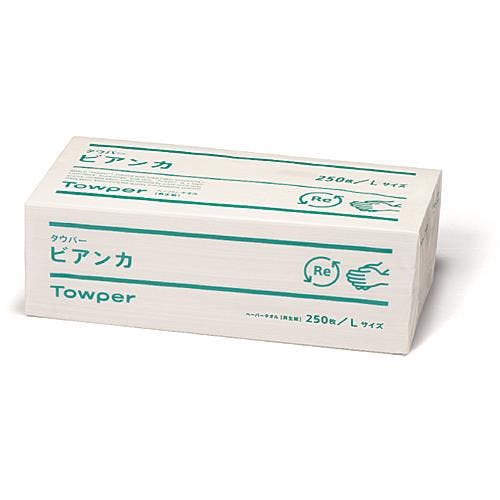 ハンドタオル(250枚) 250x250mm EA929AZ-33 4518340376489【別送品】