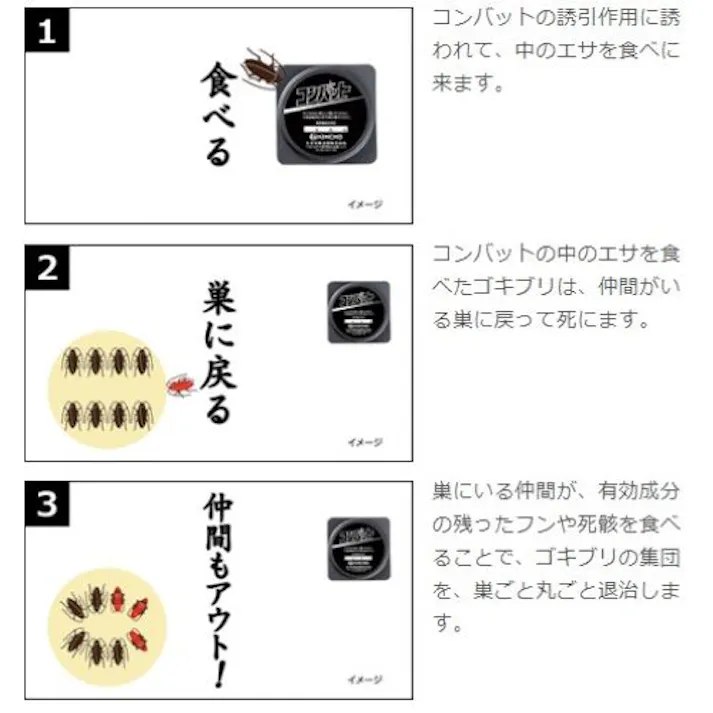 ゴキブリ誘引殺虫剤(コンバット/玄関・ベランダ用) EA941-121A 4550061135402 (CDC)【別送品】