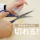 100×100×3.0mm 転倒防止粘着シート EA979D-221A 4518340320727 (CDC)【別送品】