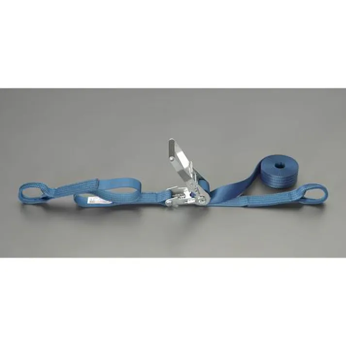 東レインターナショナル(TORAY) ベルト荷締機(両端アイ型) 50mmx5.0m/1010kg EA982SA-45A 4518340304826【別送品】