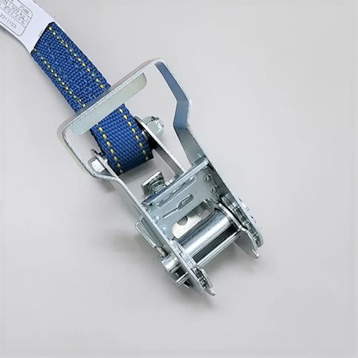 東レインターナショナル(TORAY) ベルト荷締機(エンドレス) 25mmx3.0m/509kg EA982SB-13A 4518340305779【別送品】