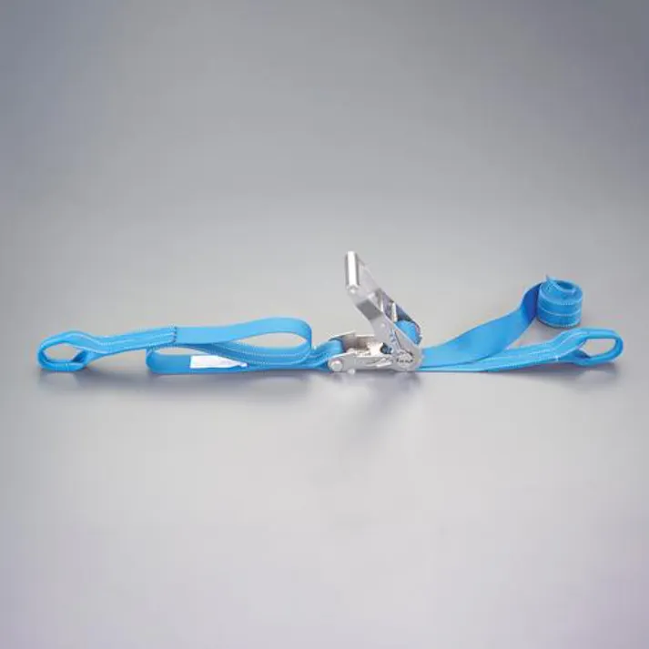 東レインターナショナル(TORAY) ベルト荷締機(両端アイ/SUS) 50mmx8.0m/764kg EA982SD-28A 4518340308947【別送品】