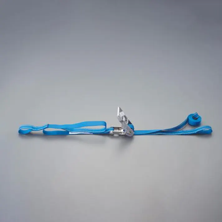 25mm×5.0m/254kg ベルト荷締機(両端アイ/SUS) EA982SD-5A 4518340308565 (CDC)【別送品】