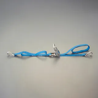 東レインターナショナル(TORAY) ベルト荷締機(両端フック/SUS) 25mmx6.0m/254kg EA982SF-6A 4518340308817【別送品】