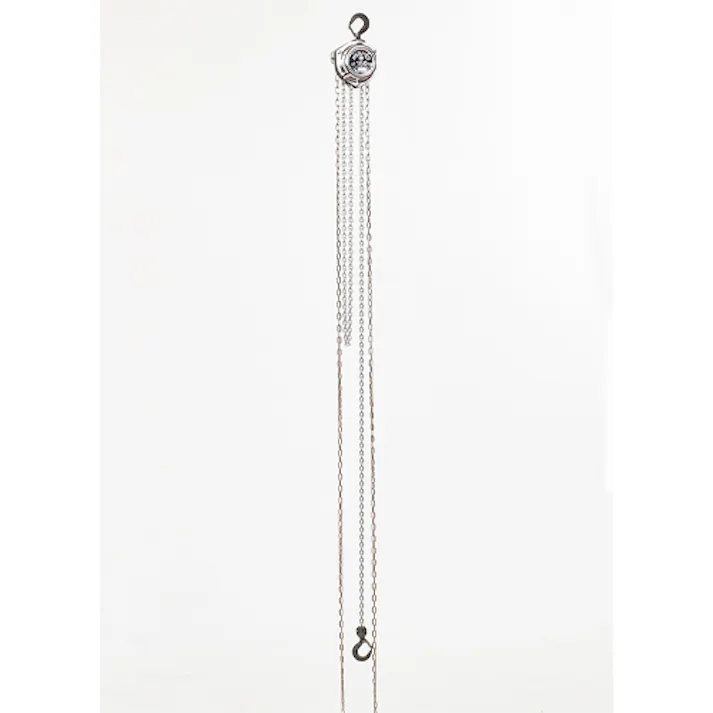 チェーンブロック 1.0tonx2.5m EA987AB-2.5A 4518340310292【別送品】